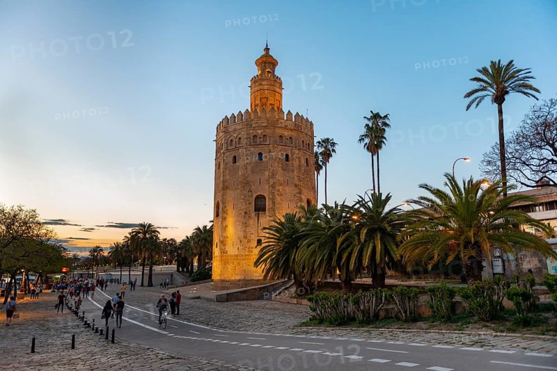 Illuminated Torre del Oro