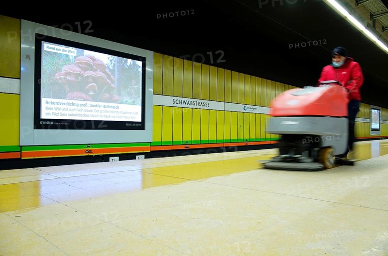 Disinfection of the platform