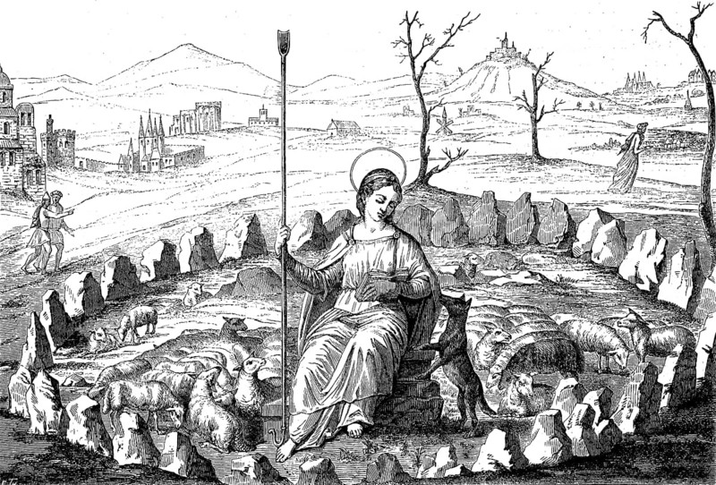 The good shepherd
