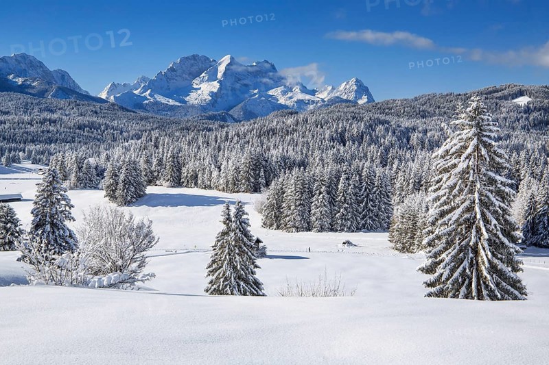 Winterly hummock meadows with Zugspitze group in the Wetterstein mountains