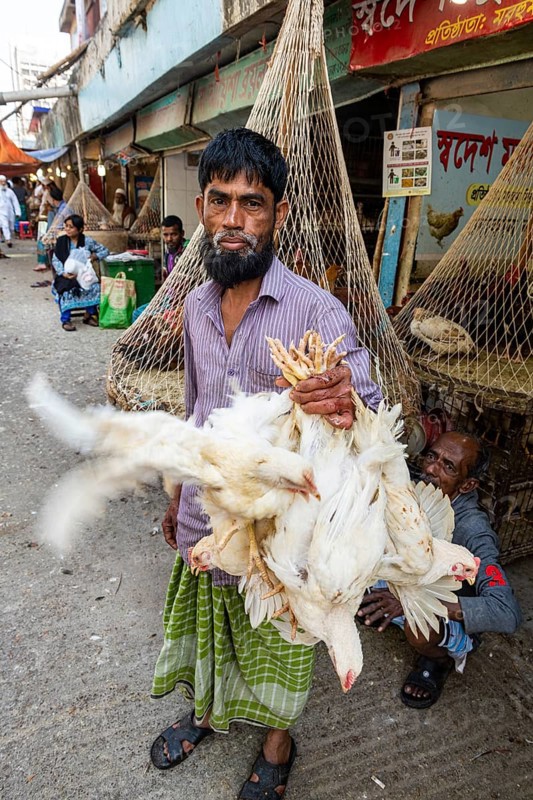 Man holding many chickens