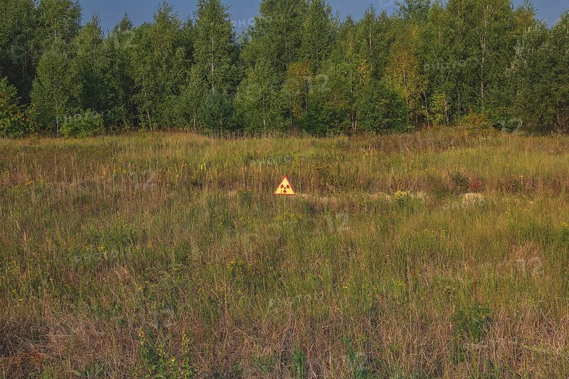 Warning sign against radioactive radiation in meadow