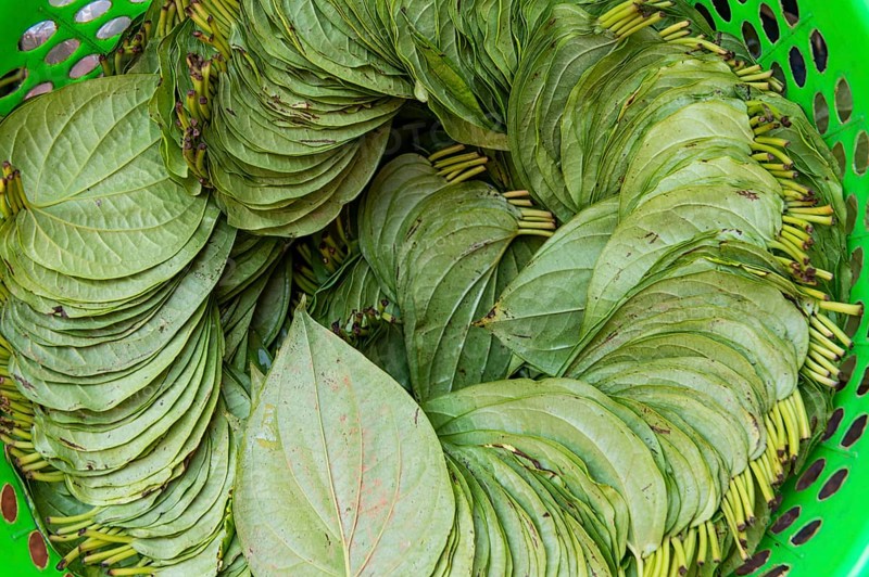 Betle nut leaves