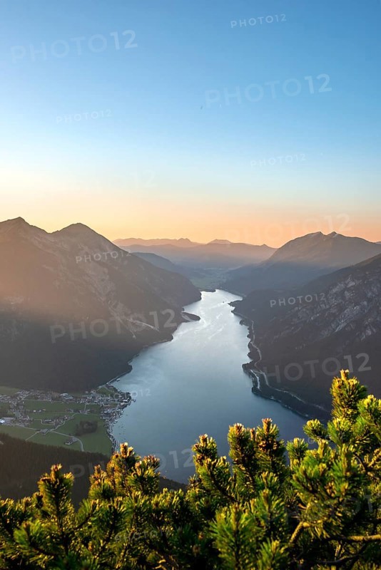 Mountain landscape with mountain pine at sunset