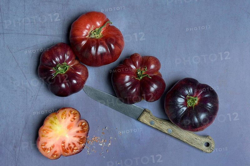 Tomato Mar Azul