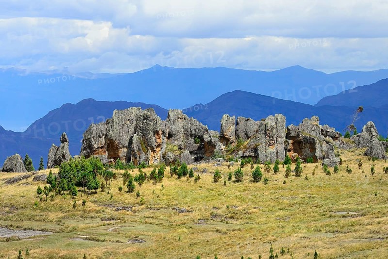 Rock formations in the Stone Forest