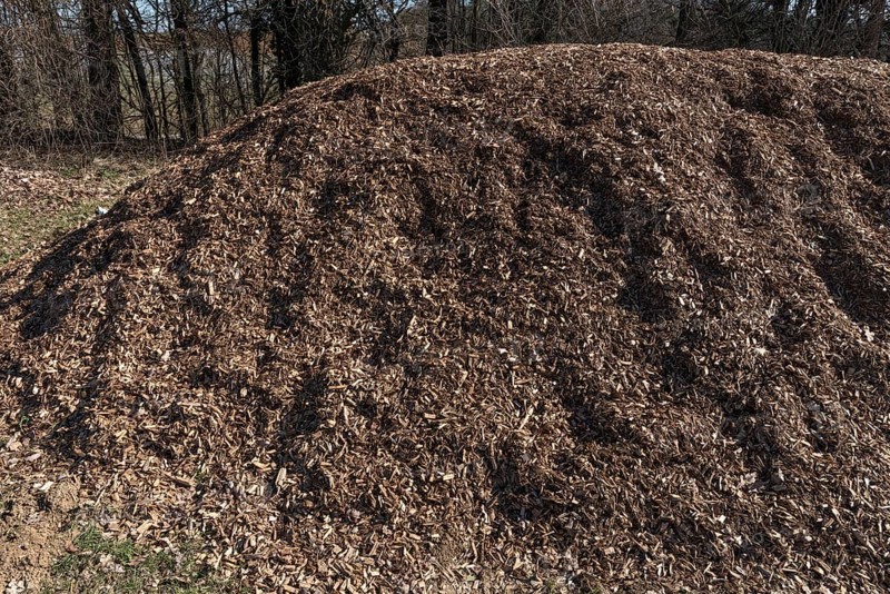 A mountain of wood chips from felled trees