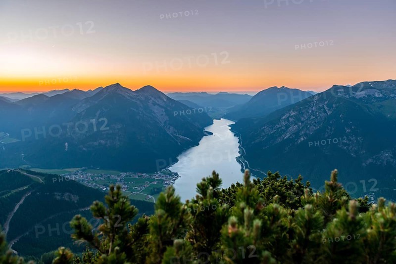 Mountain landscape with mountain pine at sunset