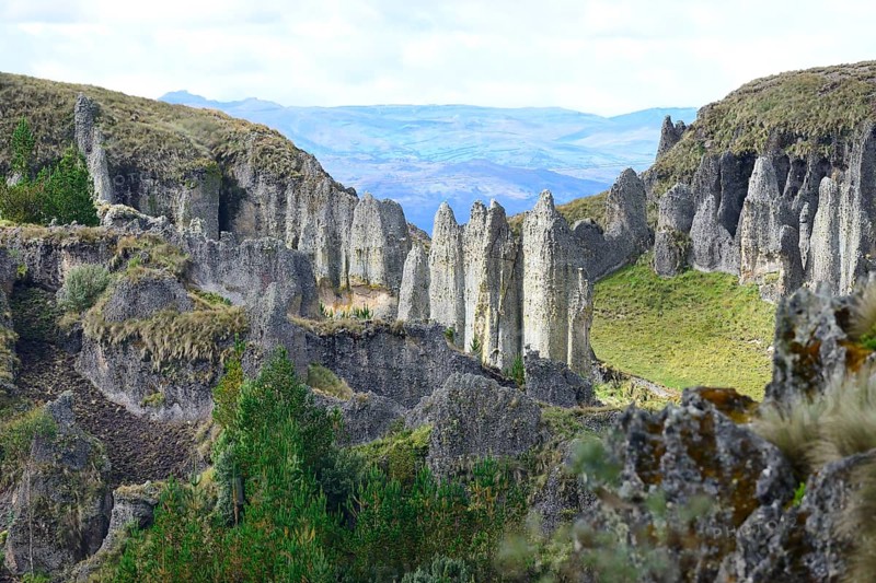 Rock formations in the Stone Forest