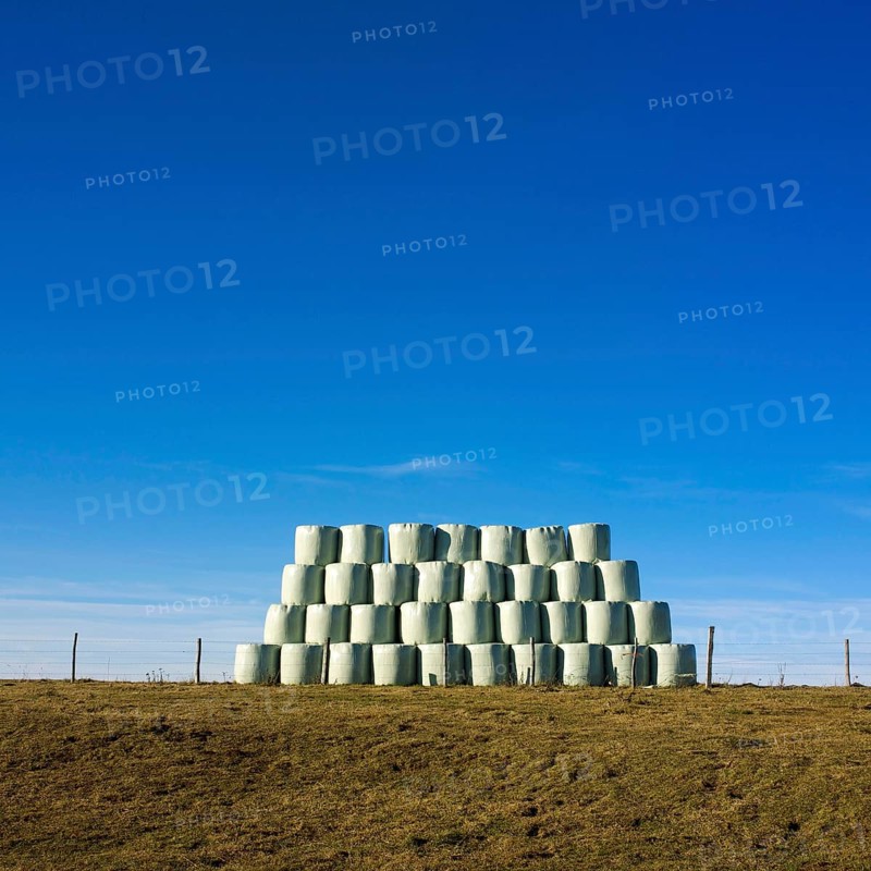 Plastic wrapped bales of straw