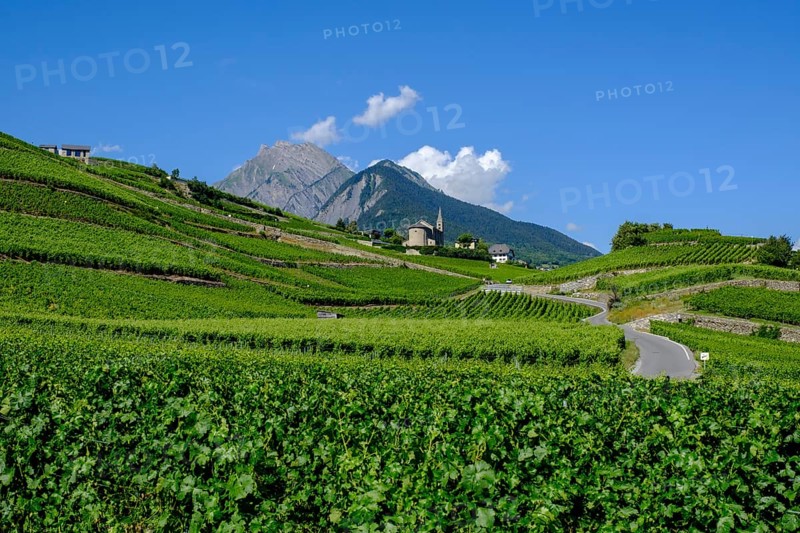 Rhone Valley