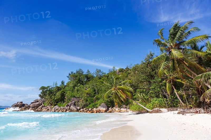 Anse Georgette beach holiday Praslin island palm sea
