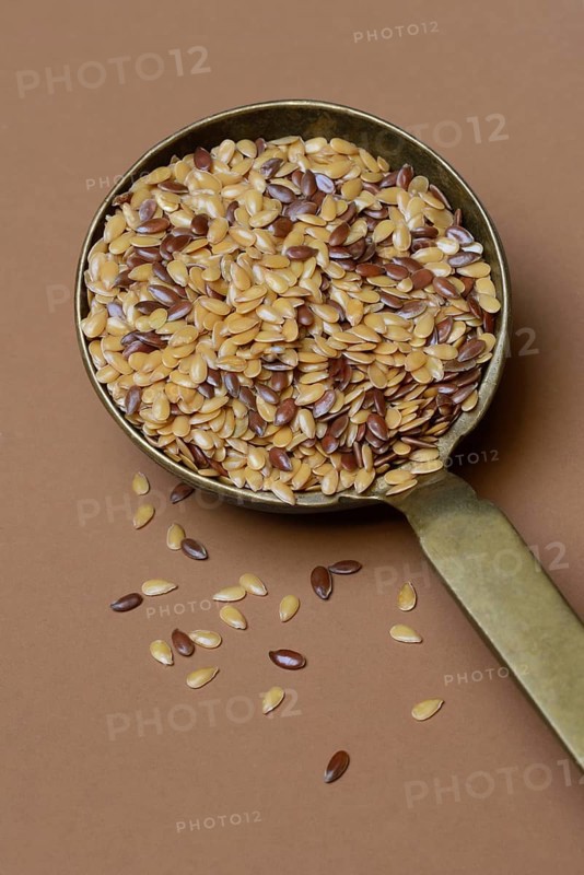 Yellow and brown linseed in trowel