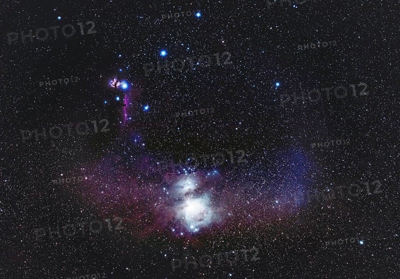 Constellation Orion with Orion and Horsehead Nebula