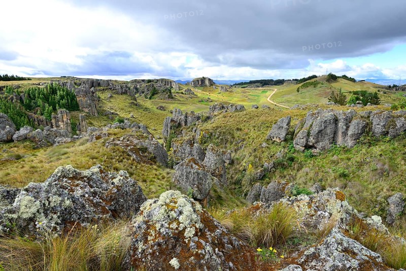 Rock formations in the Stone Forest