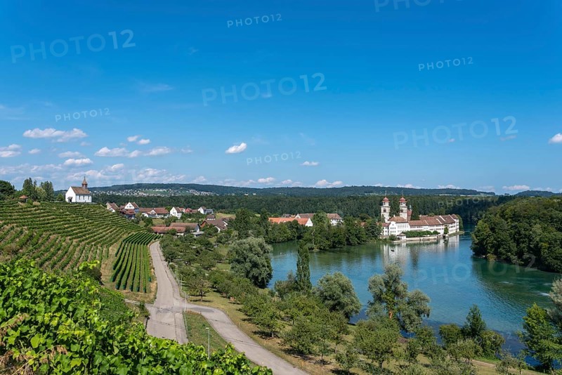 Rhine