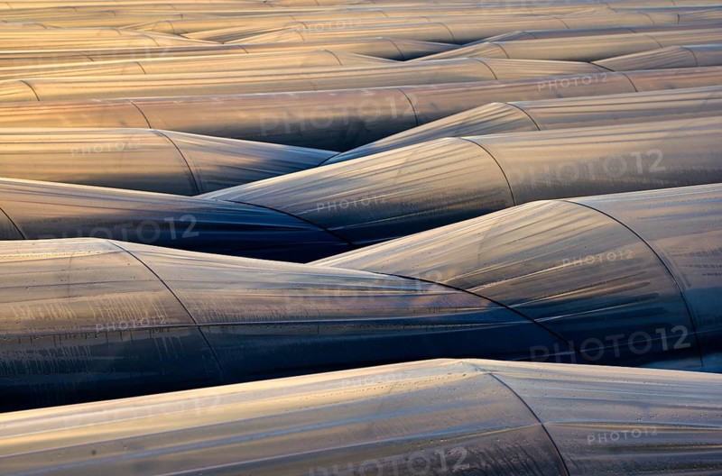 Transparent films