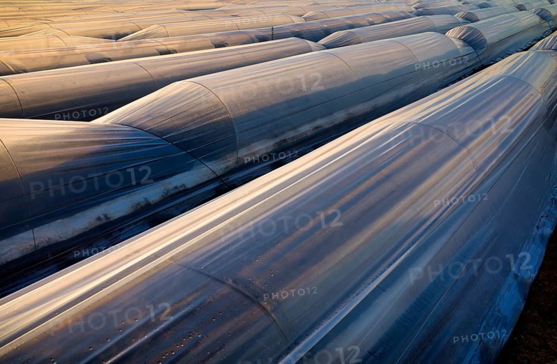 Transparent films