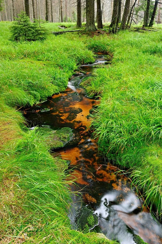 Small brook flows through high moor
