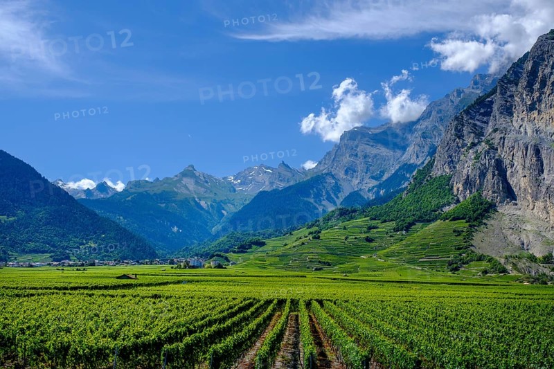 Rhone Valley