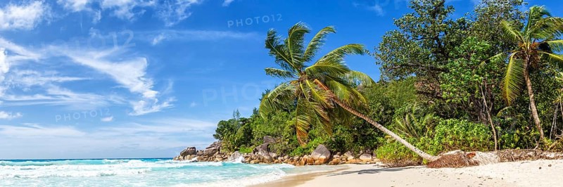 Anse Georgette beach holiday vacation island palm panorama paradise sea water on Praslin