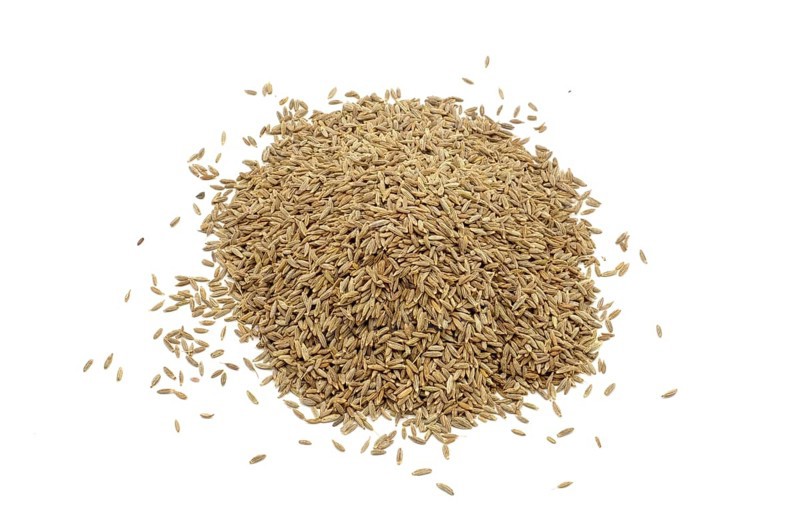 A pile of cumin seeds against a white background