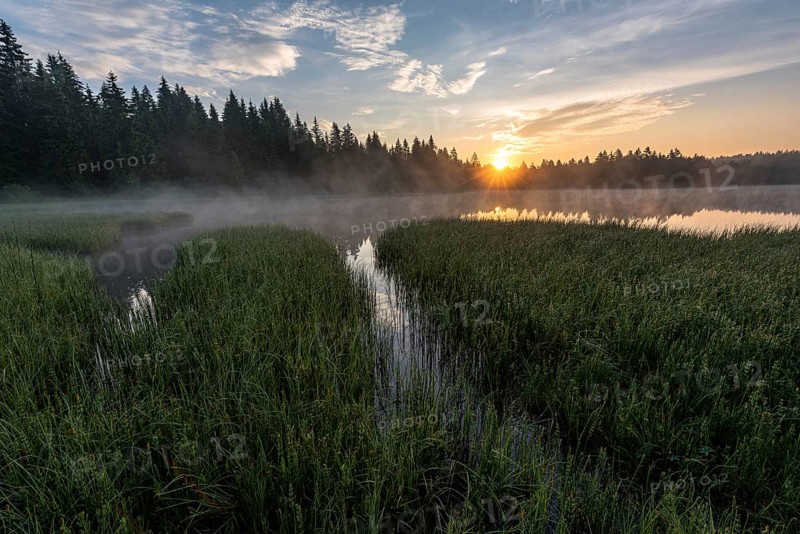 Moor lake at sunrise with morning haze
