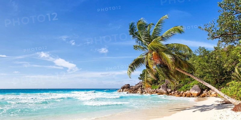 Anse Georgette beach palm panorama paradise ocean sea water on Praslin island
