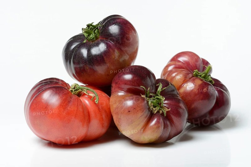 Tomato Mar Azul