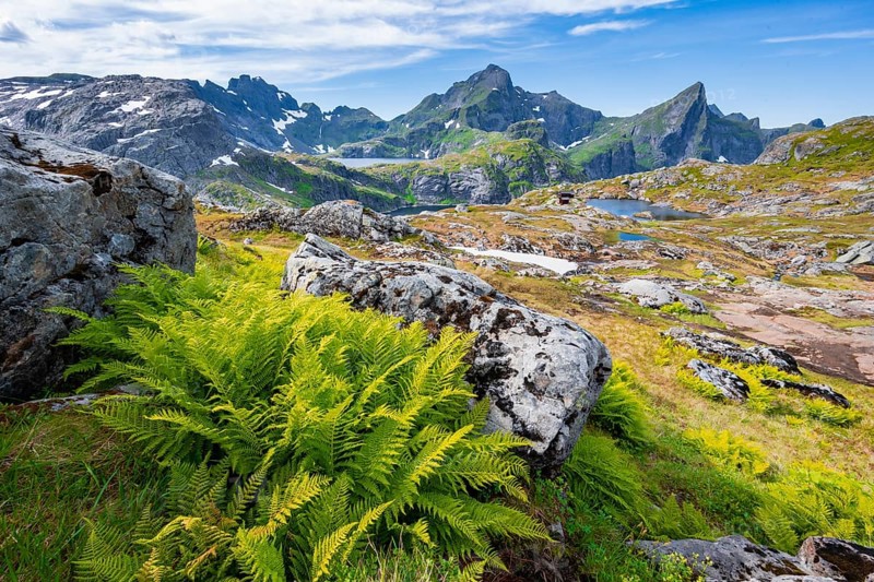 Mountain landscape