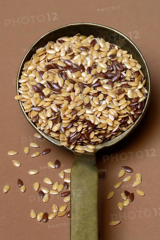 Yellow and brown linseed in trowel
