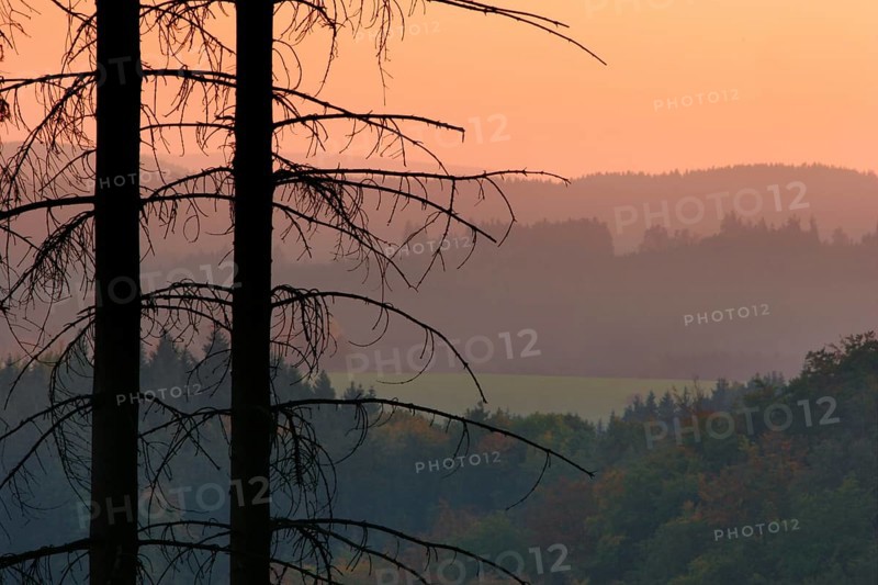 Sunset in the Thuringian Slate Mountains