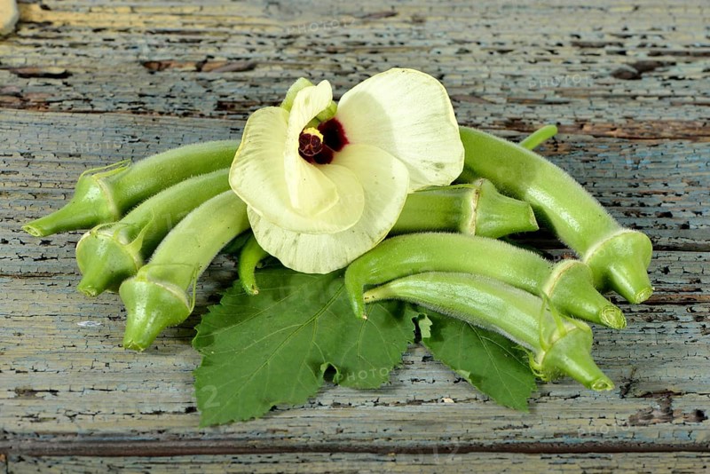 Okra