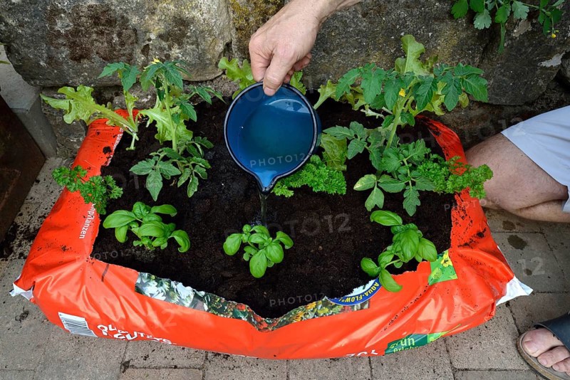Planting bag with potting soil