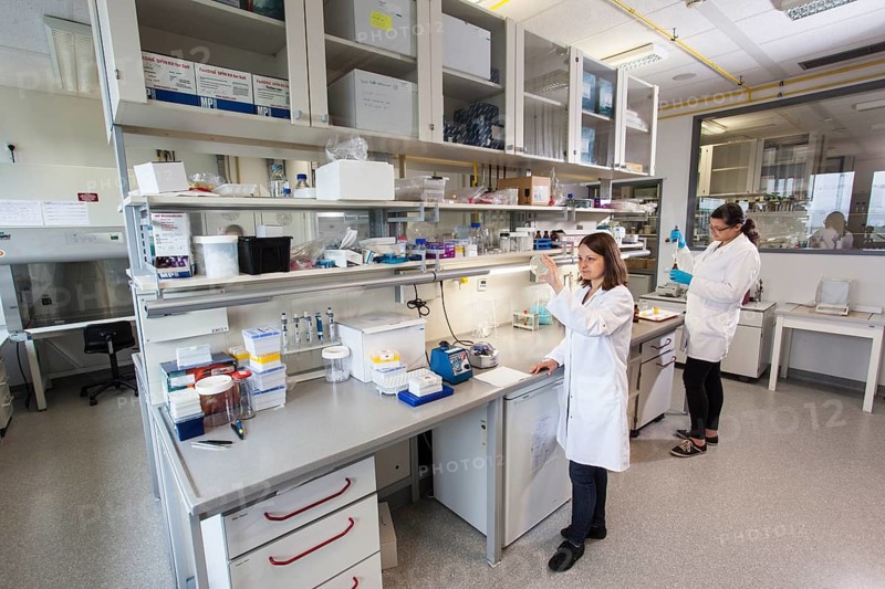 Scientist with a Petri dish containing a transformation of
