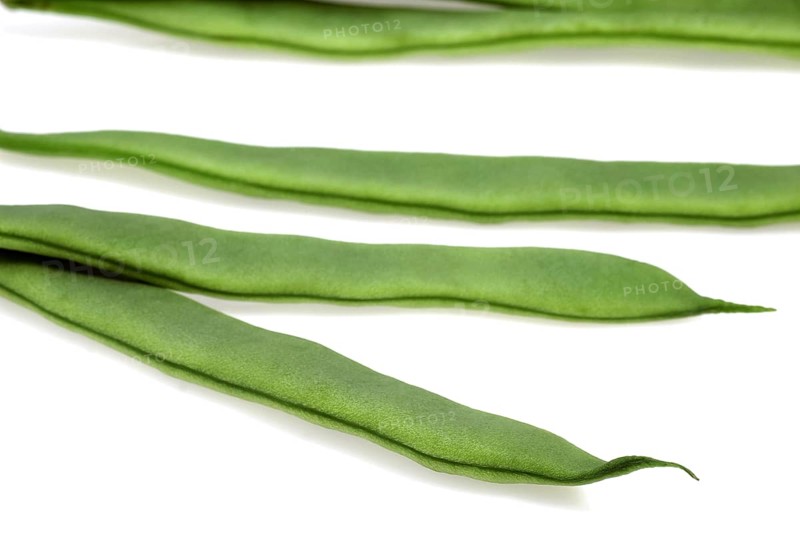 Garden Bean
