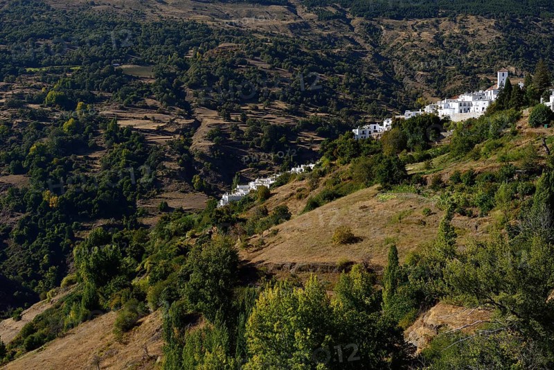 Capileira