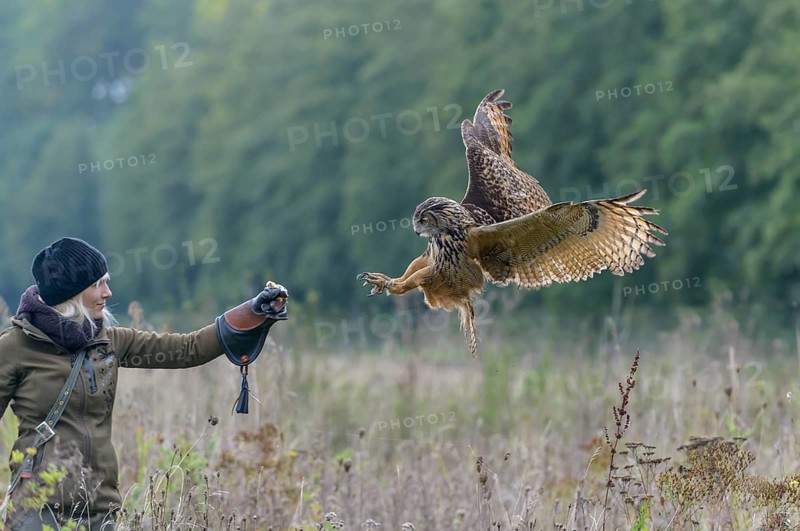 Female falconer with eagle owl