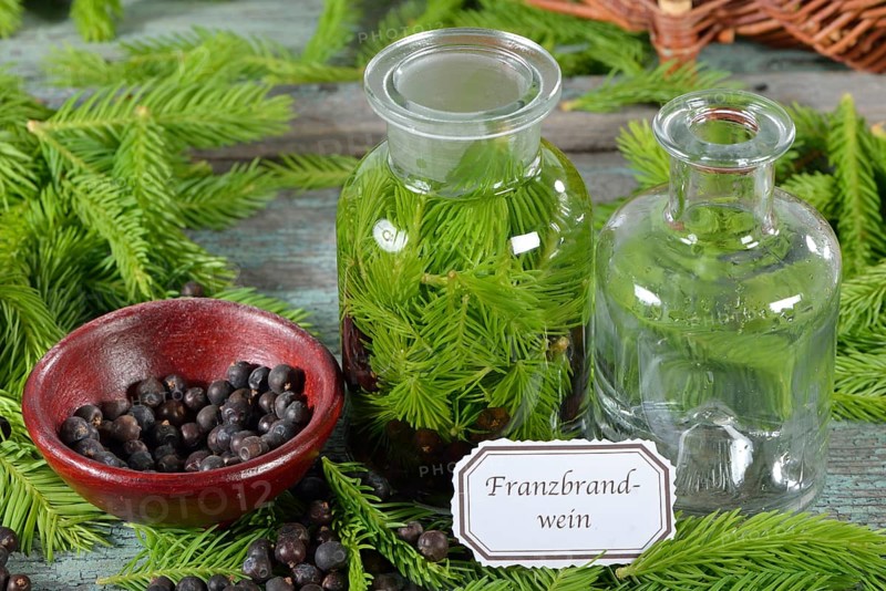 Production of french brandy
