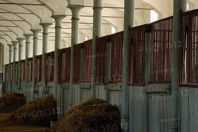 Stable