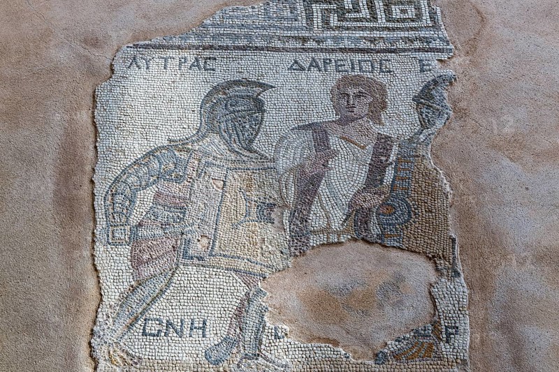 Floor mosaic