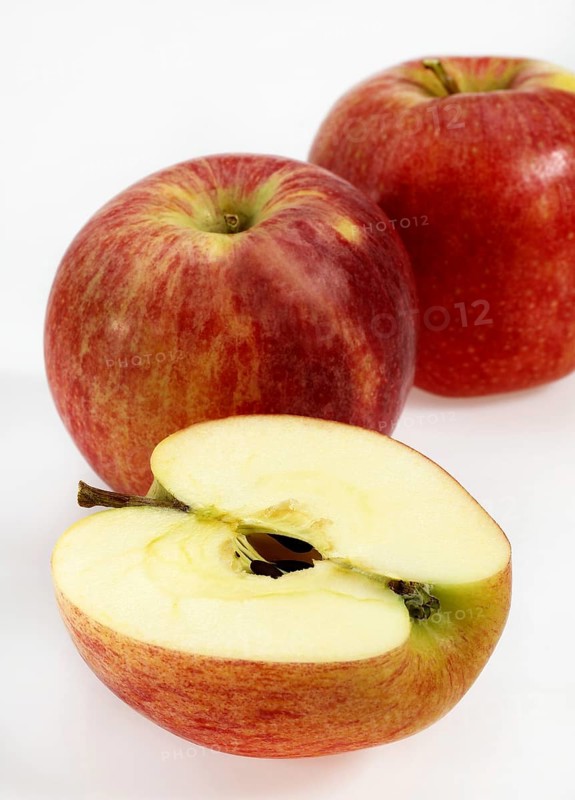 Malus domestica