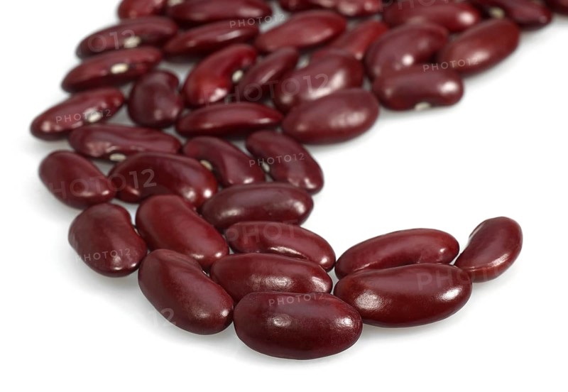Garden Bean