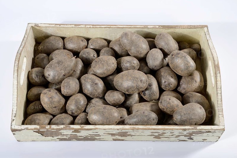 Potatoes