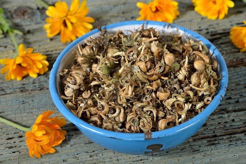 Marigolds