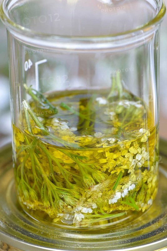 Production Yarrow ointment