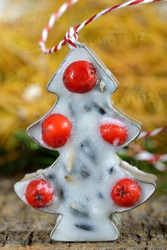 Bird food with coconut fat