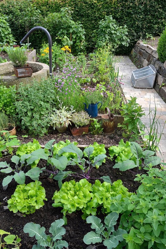 Nature garden and frame beds