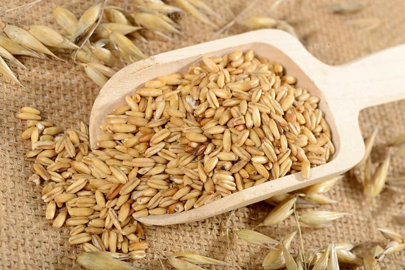 Oats