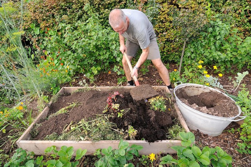 Organic garden